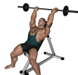 Triceps Extension - Incline Barbell